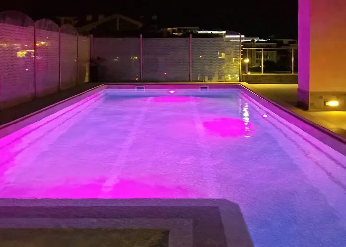 Premium Aristo * Święty Włas