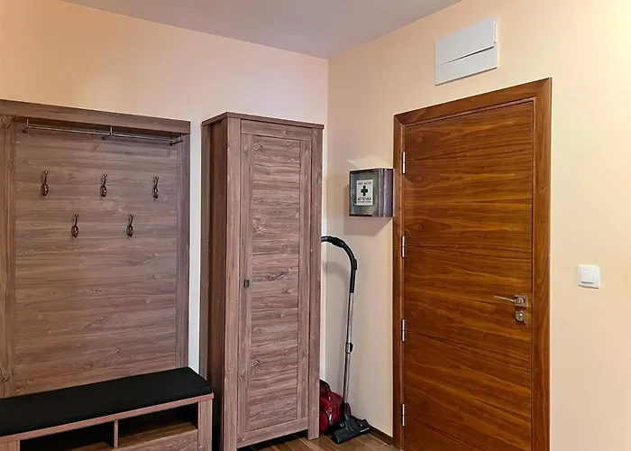 Premium Aristo Święty Włas